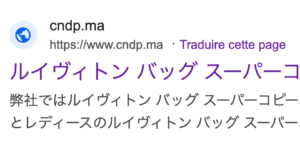 CNDP Hack: Japanese Keyword Attack on Government Website