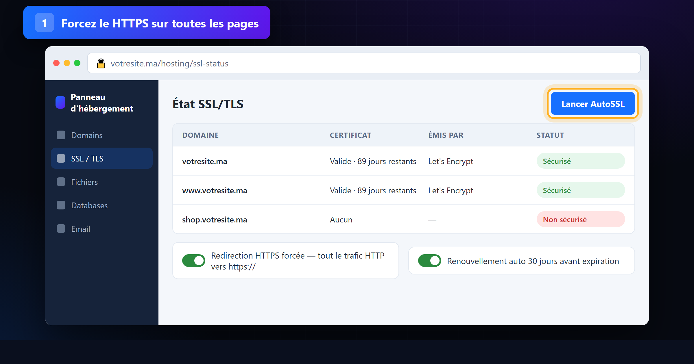 État SSL/TLS du panneau d'hébergement avec certificats valides et redirection HTTPS forcée activée