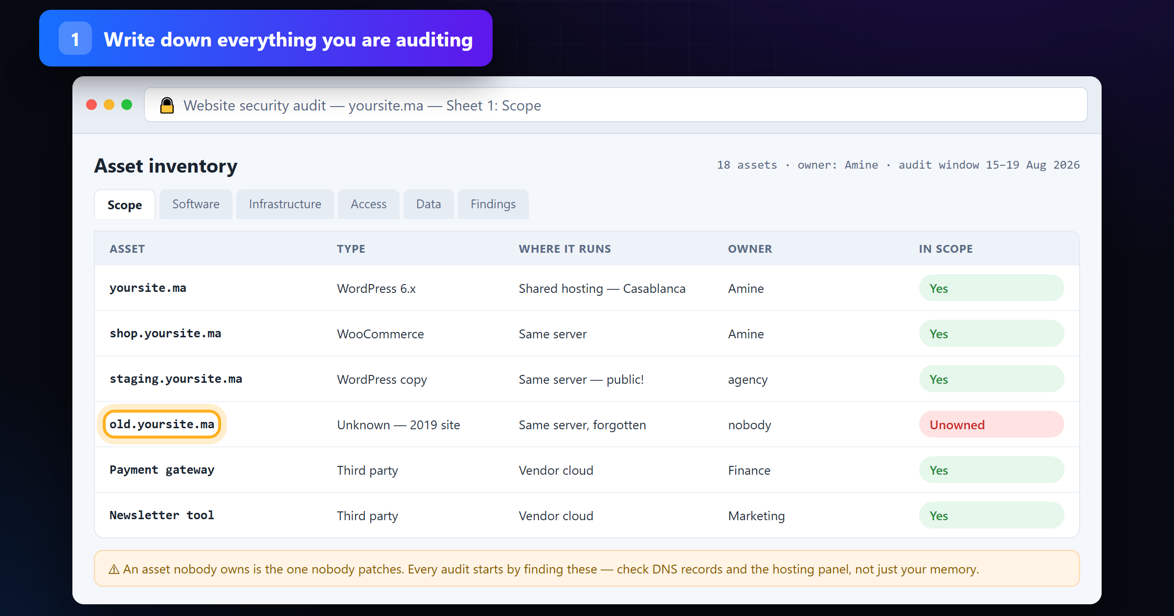 Audit scope sheet listing every domain, subdomain and third-party service, including a forgotten unowned site