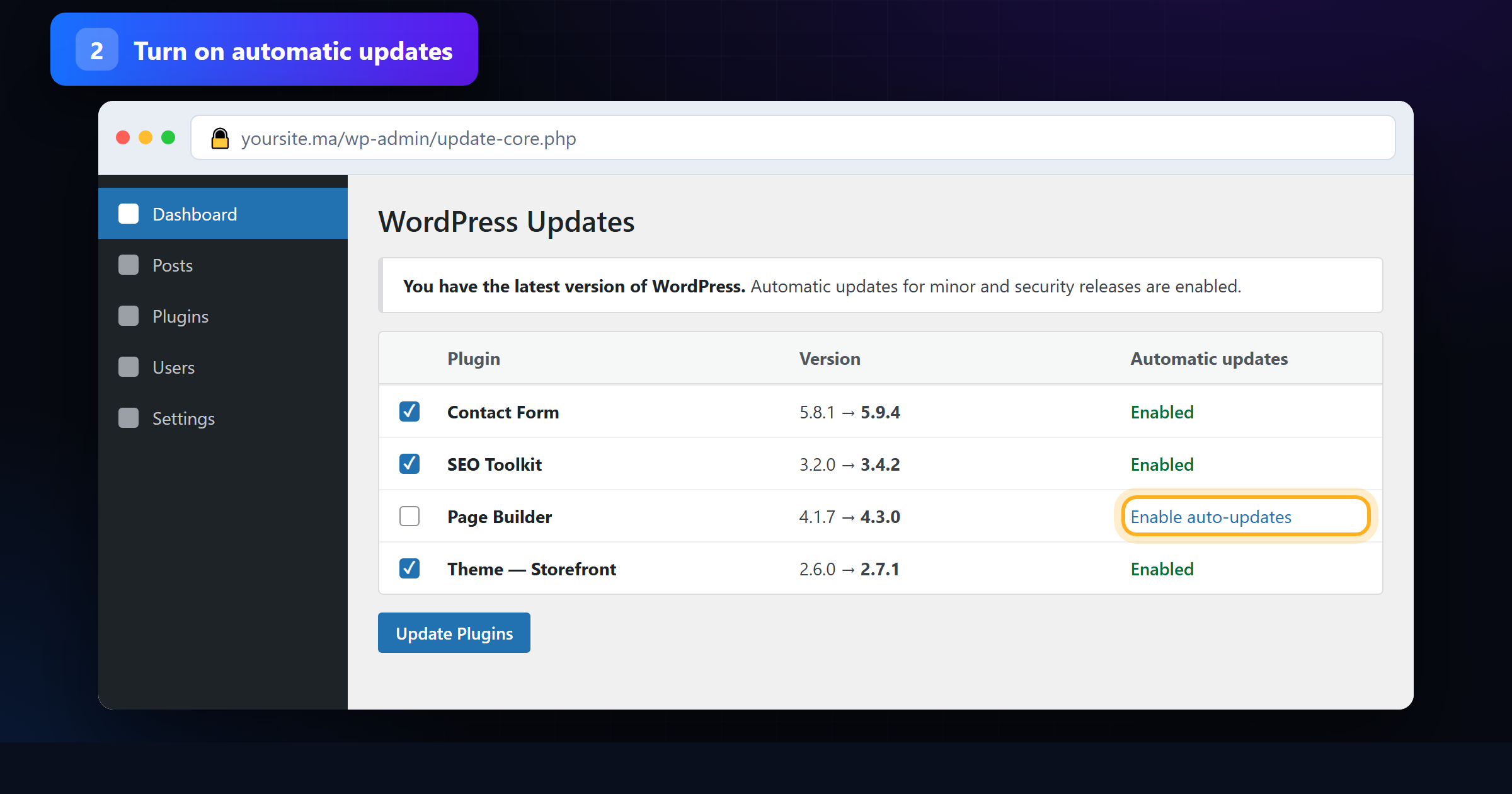 WordPress Updates screen with automatic updates enabled for plugins and the theme