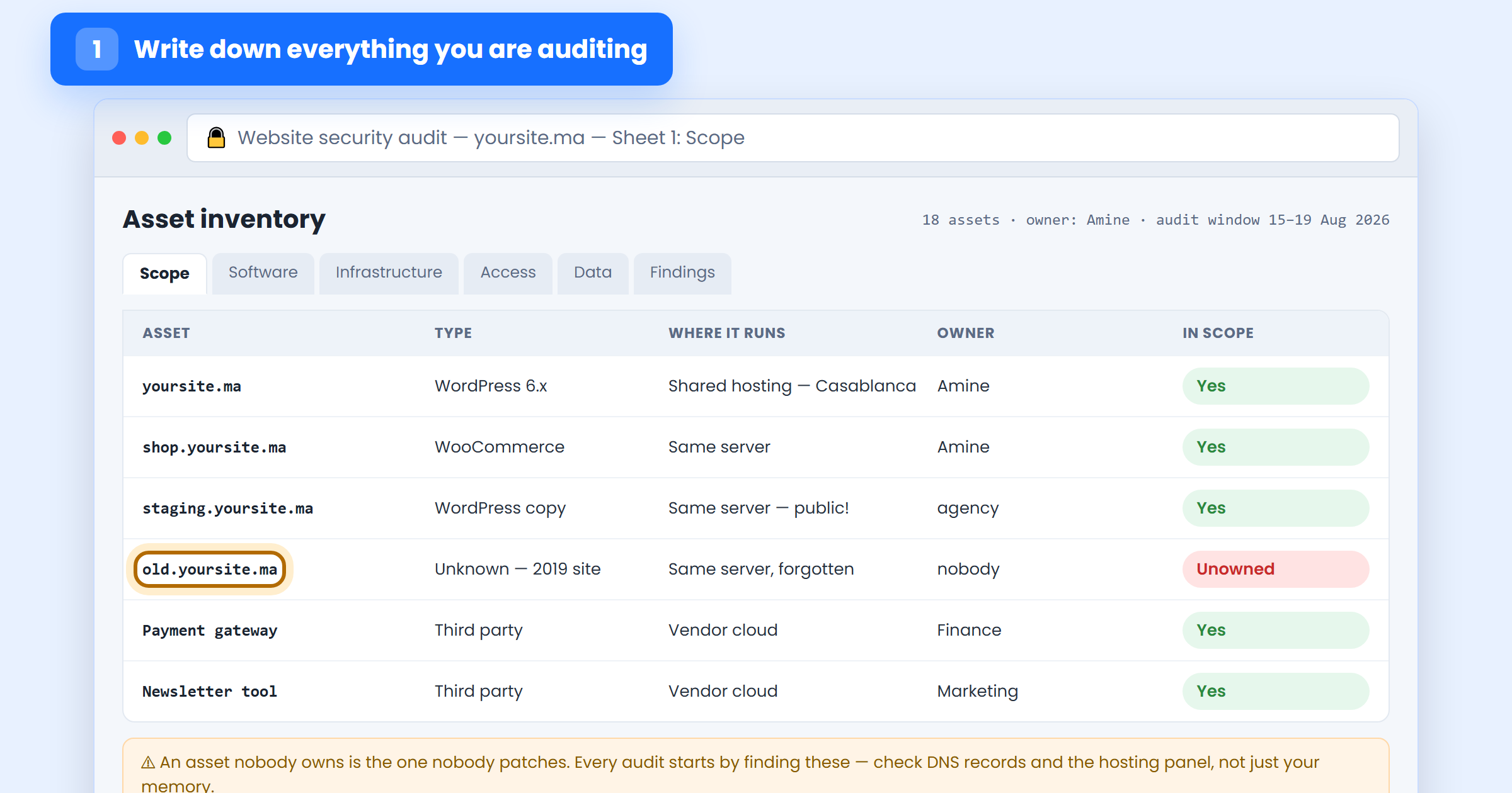 Audit scope sheet listing every domain, subdomain and third-party service, including a forgotten unowned site