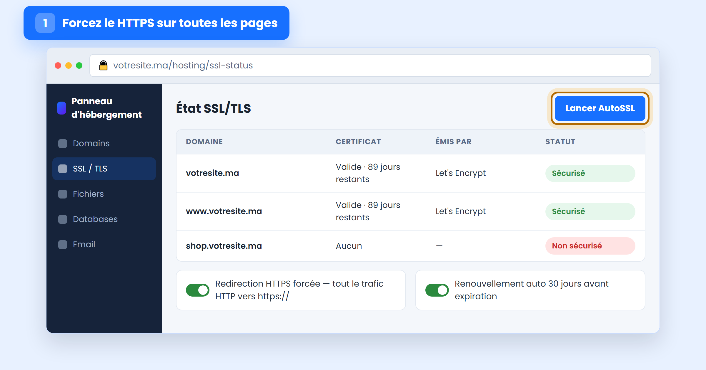 État SSL/TLS du panneau d'hébergement avec certificats valides et redirection HTTPS forcée activée