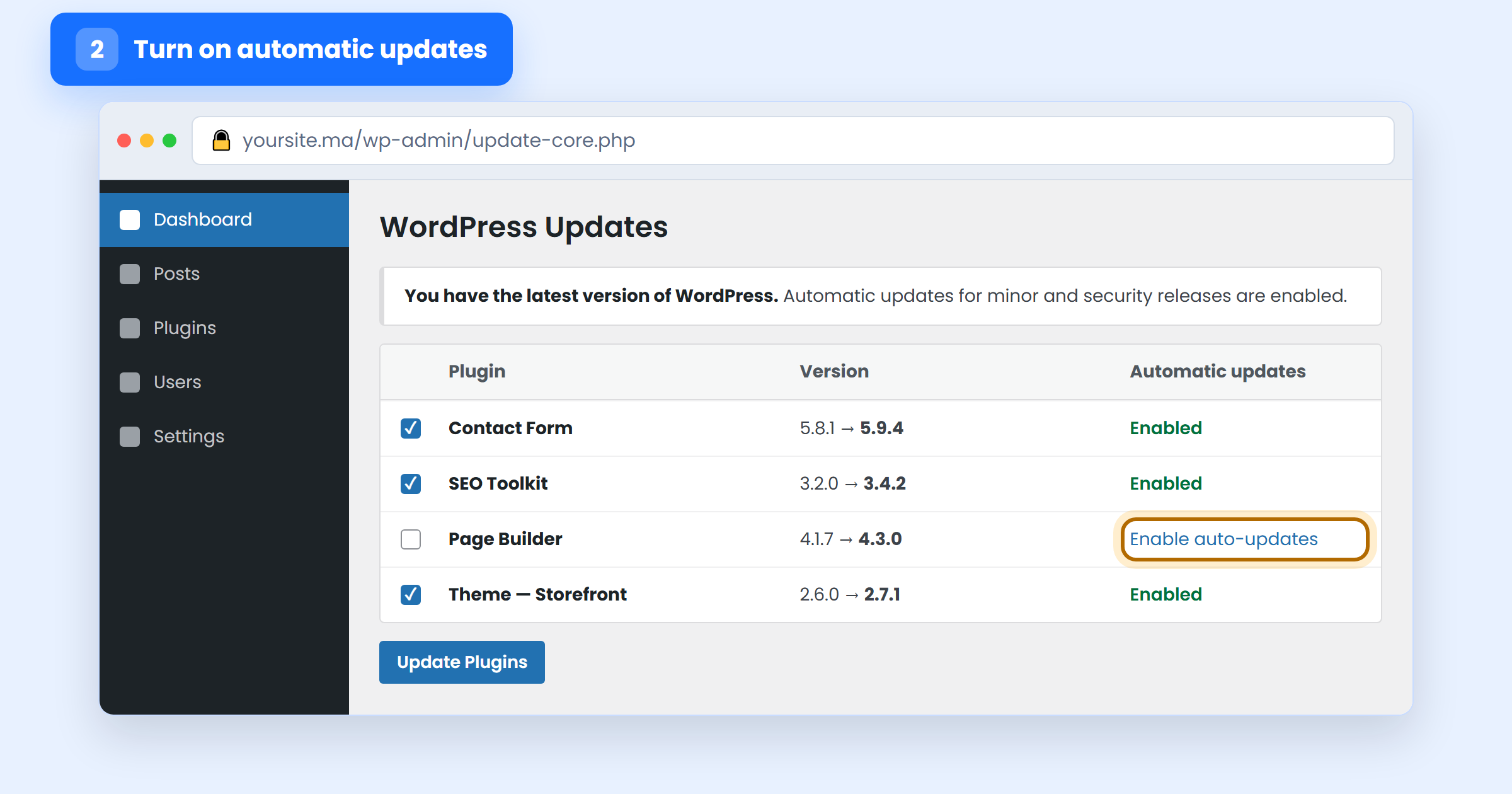 WordPress Updates screen with automatic updates enabled for plugins and the theme